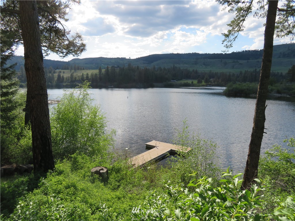 7 Bremner Lane Republic, WA 99166 - Photo 1 of 24