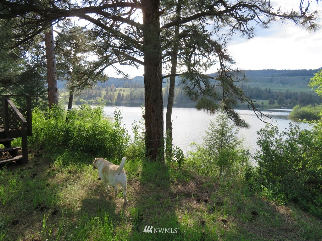 7 Bremner Lane Republic, WA 99166 - Photo 13 of 24