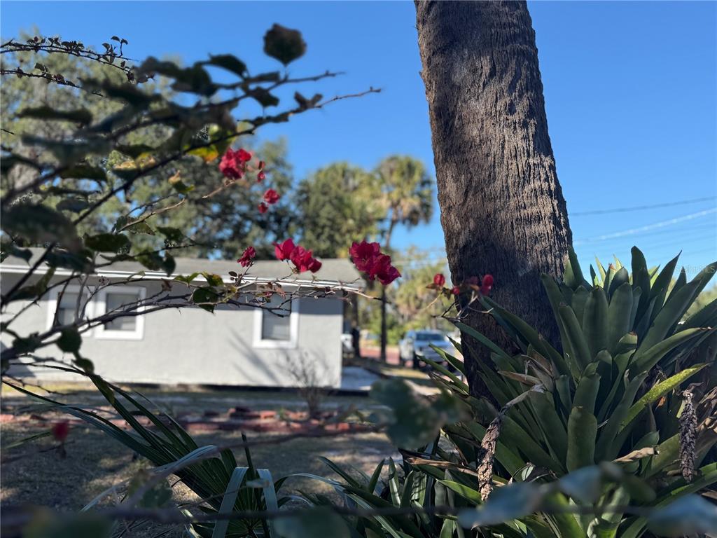 1008 West Grace Street Tampa, FL 33607 - Photo 10 of 15