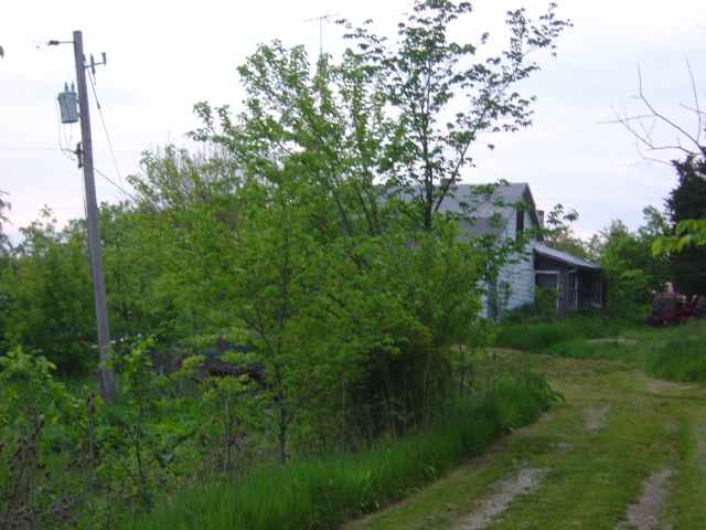 9101 West Pfeiffer Road Mapleton, IL 61547 - Photo 3 of 9