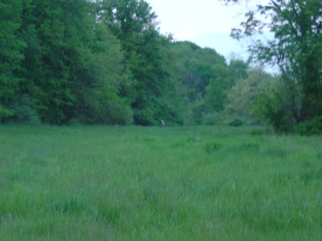 9101 West Pfeiffer Road Mapleton, IL 61547 - Photo 7 of 9