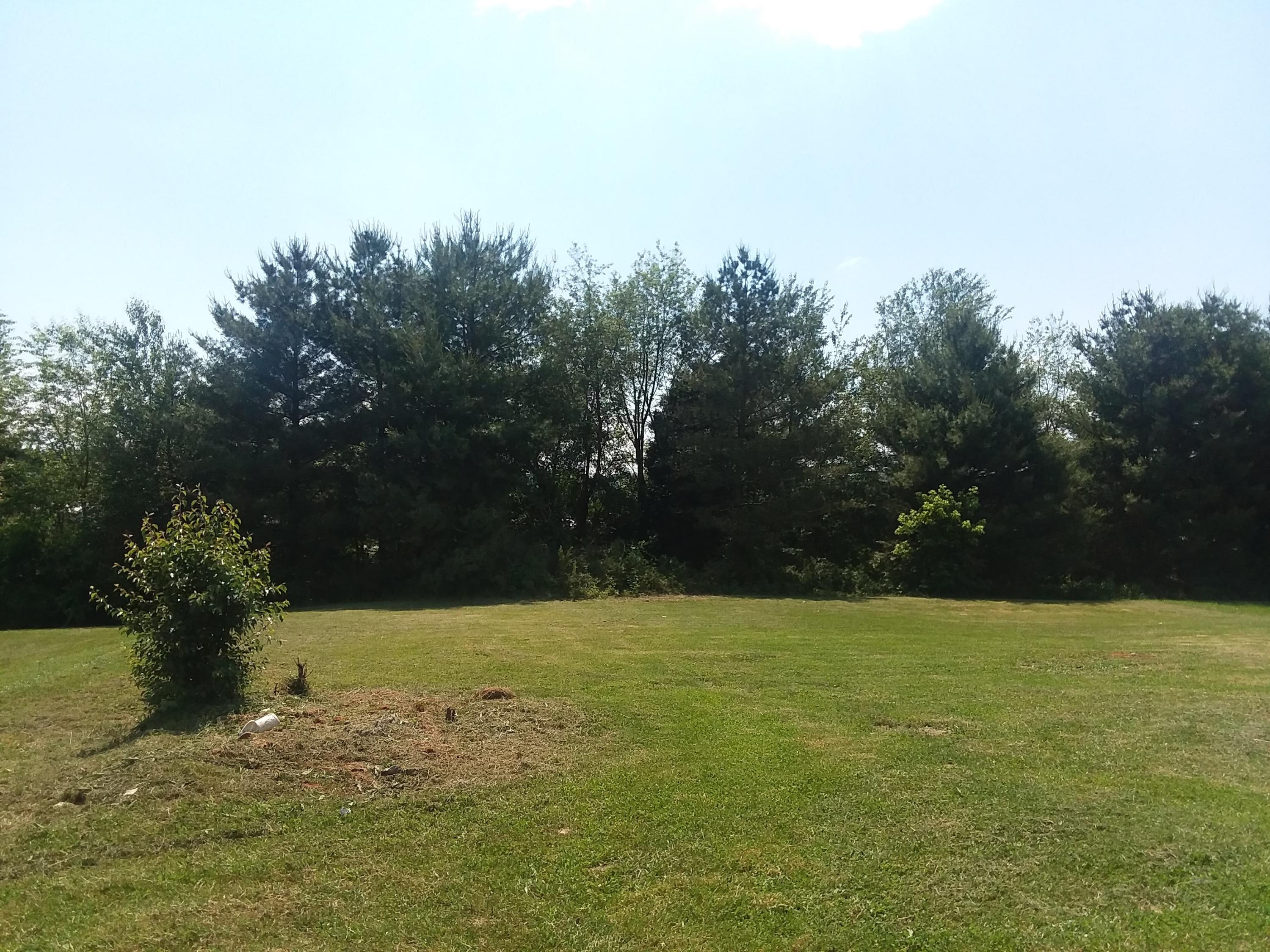 937 Ridgeview Road Maryville, TN 37801 - Photo 19 of 22 Large level back yard
