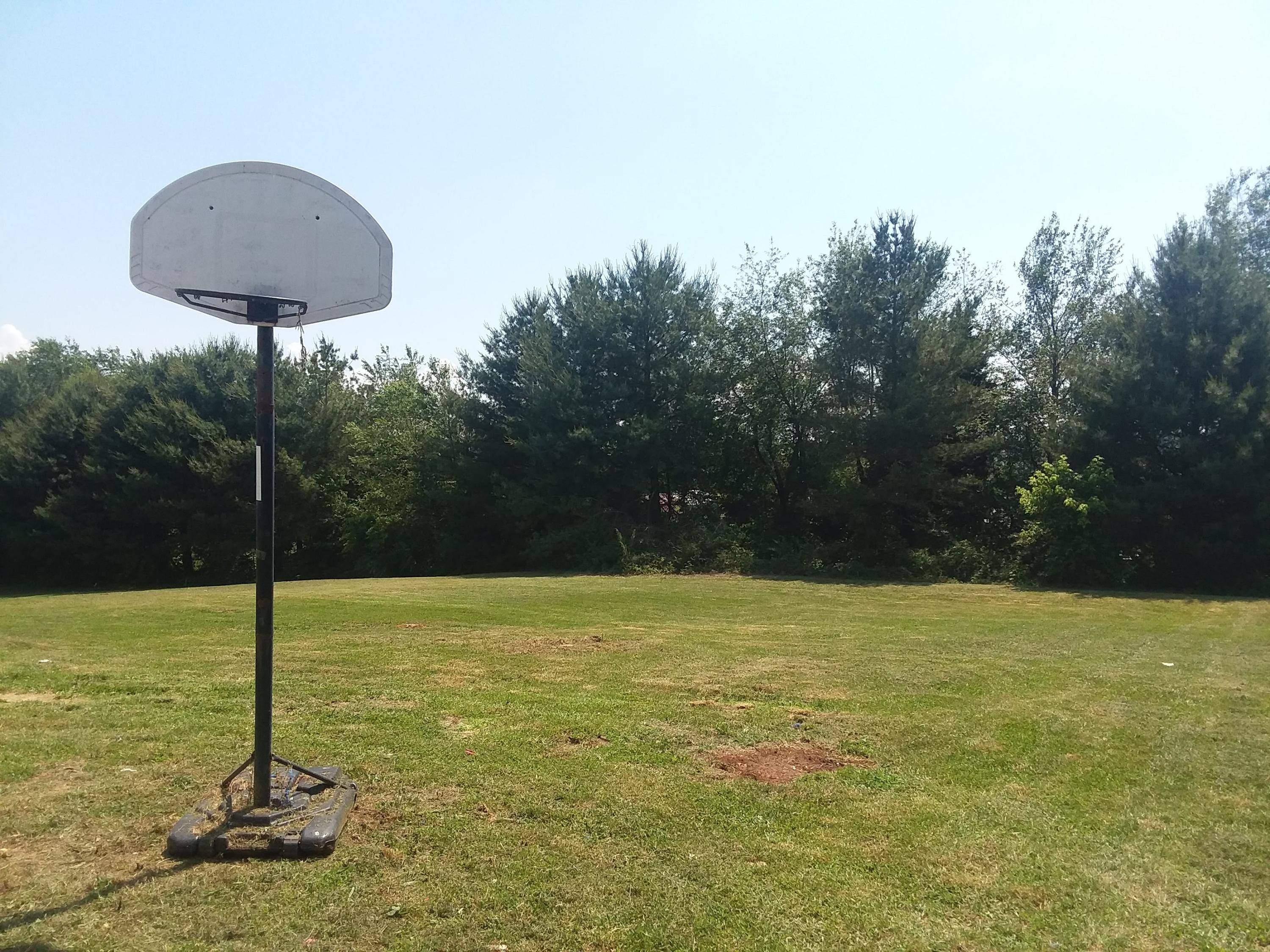 937 Ridgeview Road Maryville, TN 37801 - Photo 20 of 22 Large level backyard