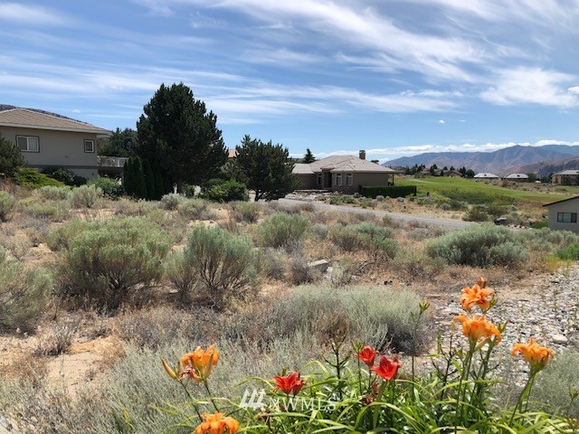 307 Desert View Place Orondo, WA 98843 - Photo 4 of 12