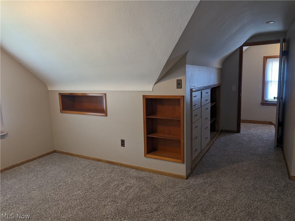 30213 Barjode Road Willowick, OH 44095 - Photo 20 of 20 Bonus room featuring vaulted ceiling, a textured ceiling, and dark carpet