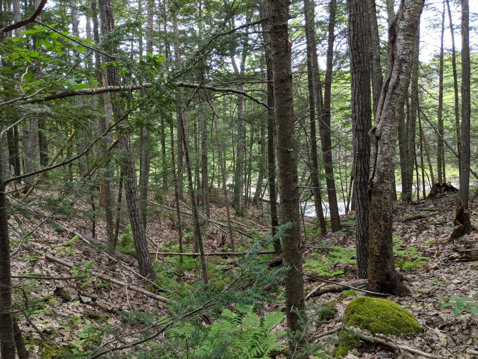 Off Dover Road Boothbay, ME 04537 - Photo 4 of 6 4