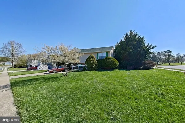 a view of a park with large trees