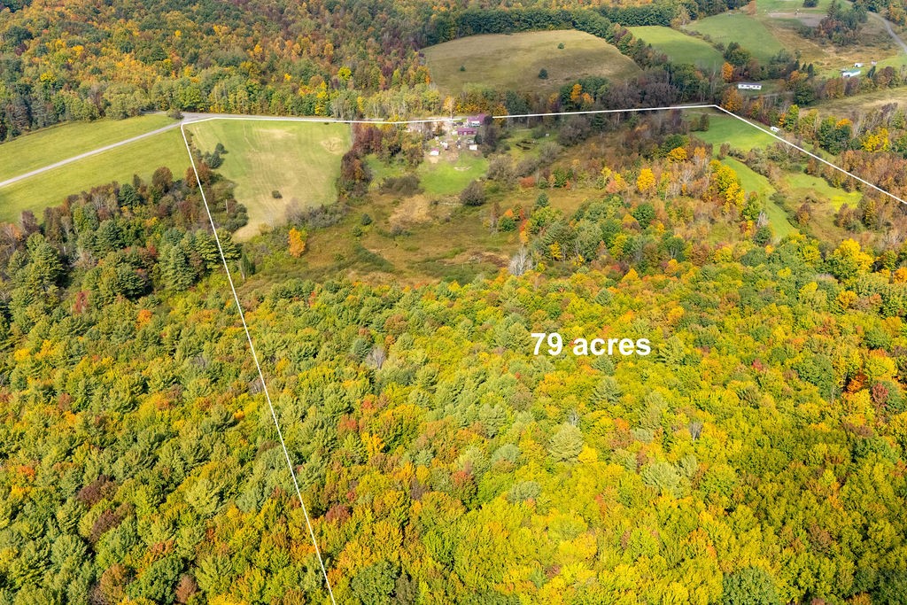 1668 Vandervort Hill Road Unadilla, NY 13849 - Photo 49 of 50 Mature woodlands and open meadows define this vast countryside parcel.