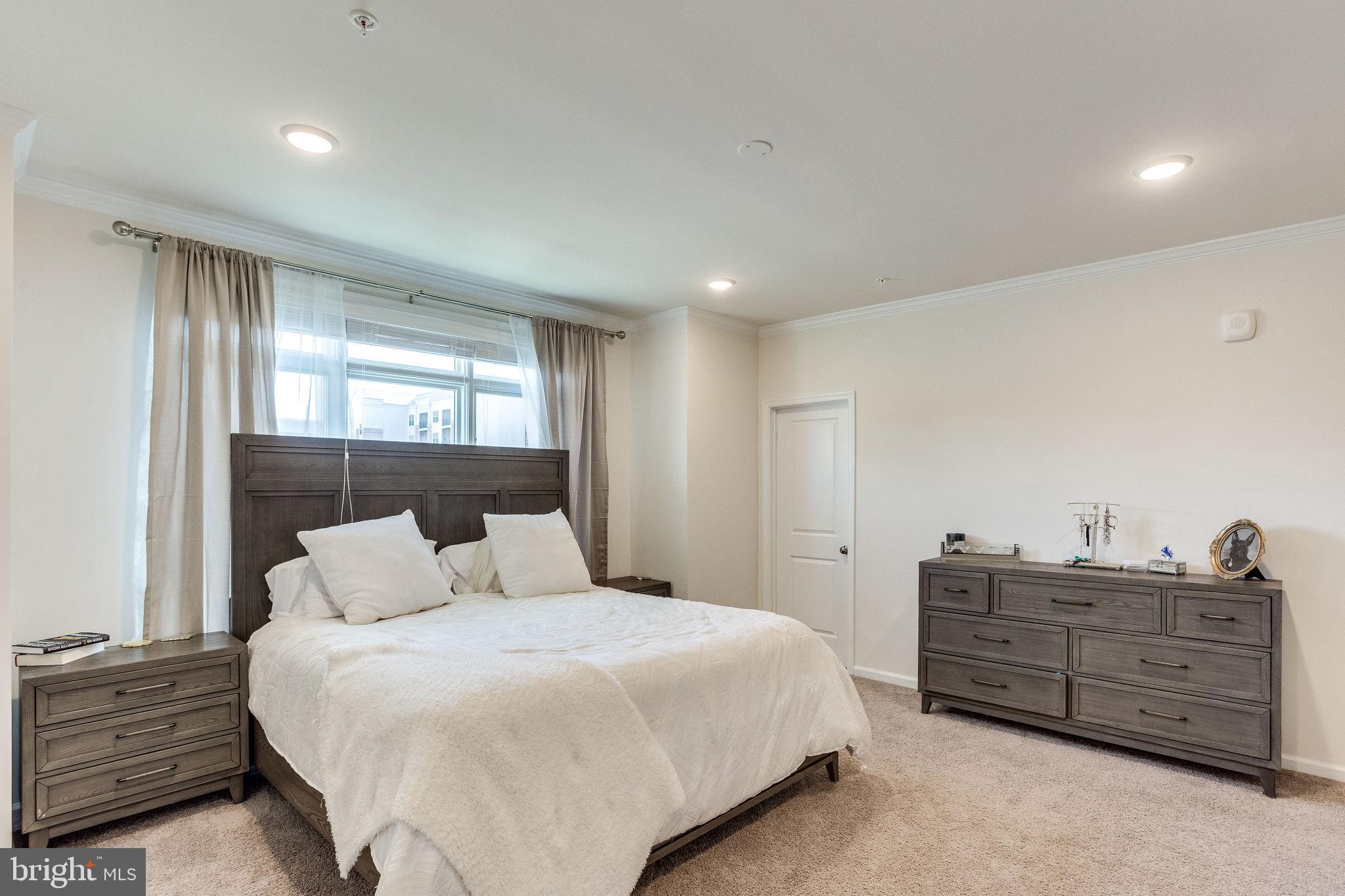 1216 Ribbon Limestone Terrace Southeast Leesburg, VA 20175 - Photo 10 of 33 Neutral finishes throughout