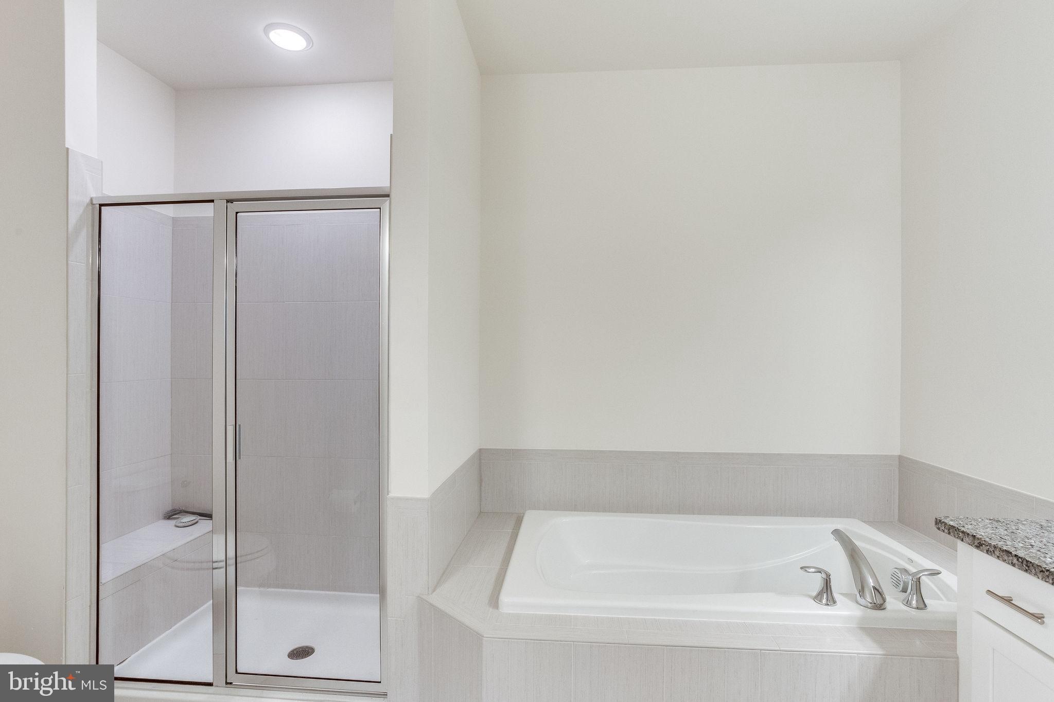 1216 Ribbon Limestone Terrace Southeast Leesburg, VA 20175 - Photo 13 of 33 Master walk-in shower