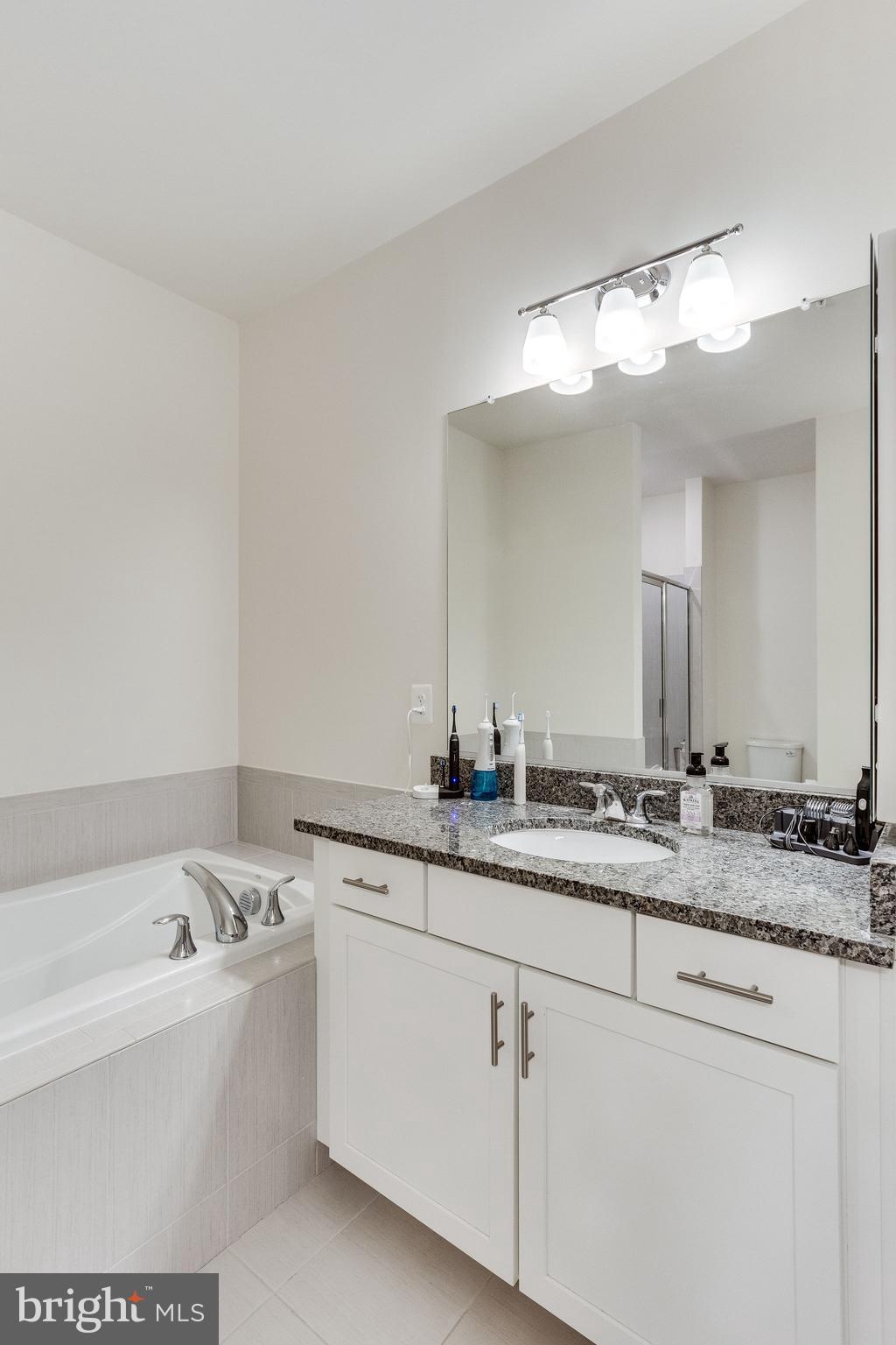 1216 Ribbon Limestone Terrace Southeast Leesburg, VA 20175 - Photo 14 of 33 Oversized vanity