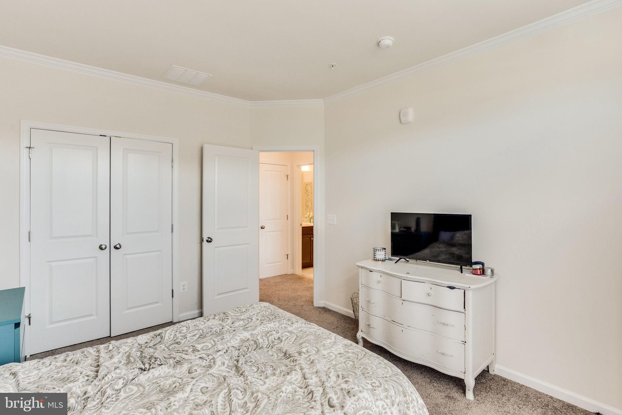 1216 Ribbon Limestone Terrace Southeast Leesburg, VA 20175 - Photo 19 of 33 Ample closet space