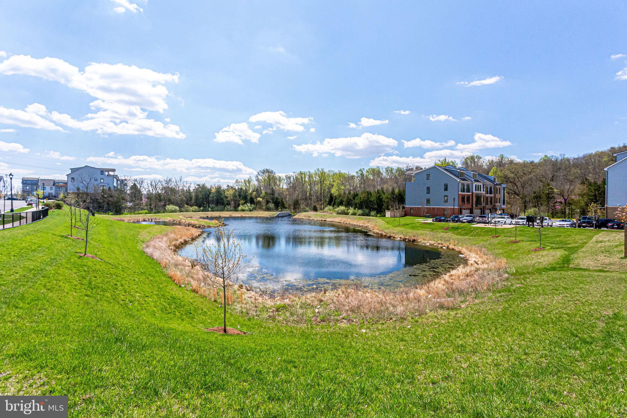 1216 Ribbon Limestone Terrace Southeast Leesburg, VA 20175 - Photo 27 of 33 Picturesque pond