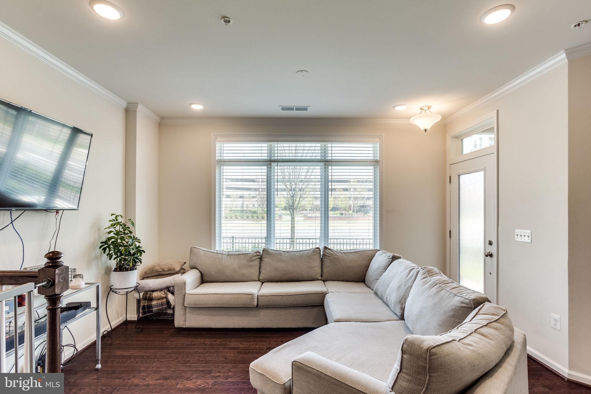 1216 Ribbon Limestone Terrace Southeast Leesburg, VA 20175 - Photo 7 of 33 Room for everyone to enjoy movie night