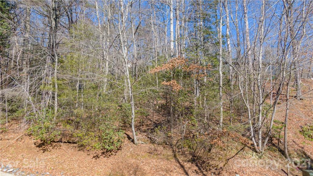 Tbd Deerlake Road, Unit 61 Brevard, NC 28712 - Photo 1 of 25 Gallery Image 1