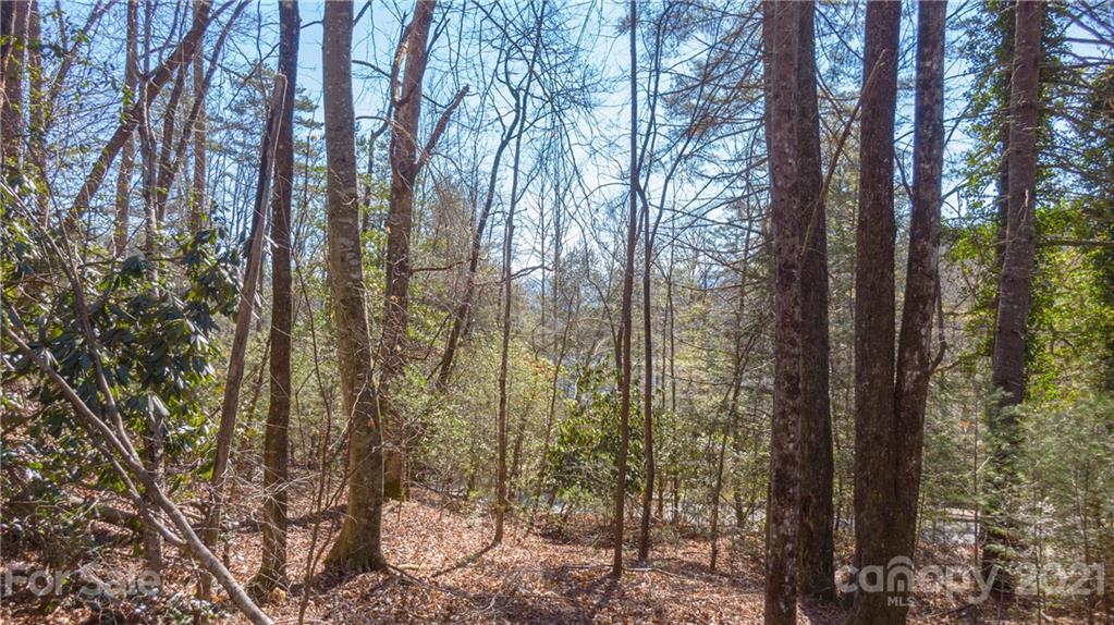 Tbd Deerlake Road, Unit 61 Brevard, NC 28712 - Photo 3 of 25 Gallery Image 3