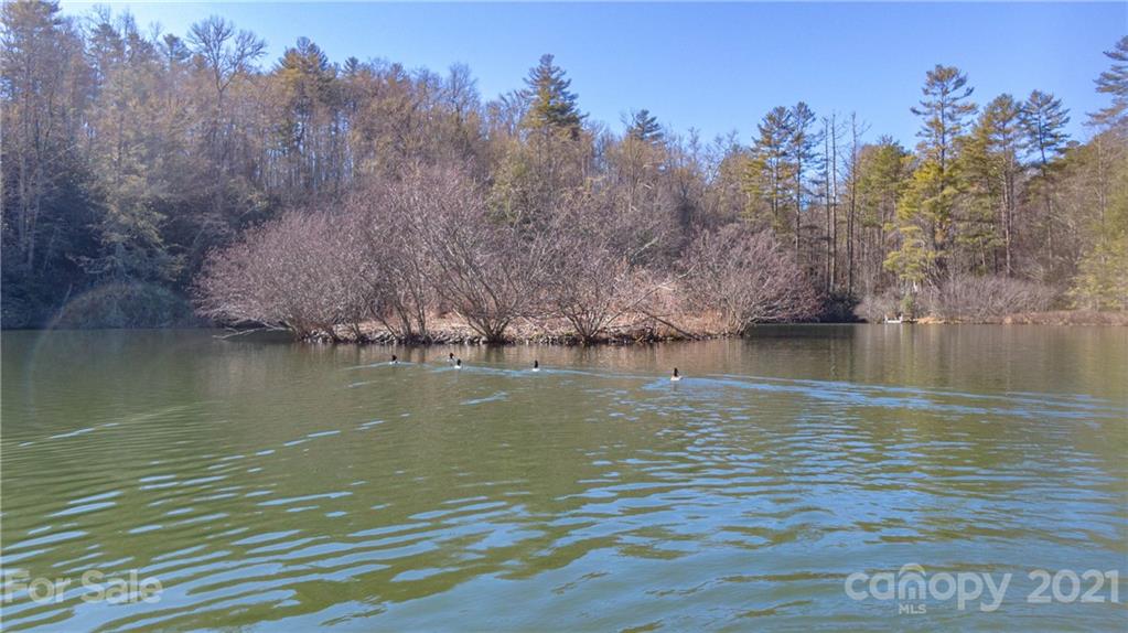 Tbd Deerlake Road, Unit 61 Brevard, NC 28712 - Photo 23 of 25 Gallery Image 23