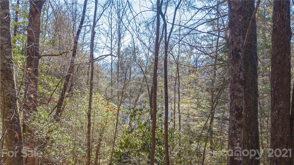 Tbd Deerlake Road, Unit 61 Brevard, NC 28712 - Photo 4 of 25 Gallery Image 4