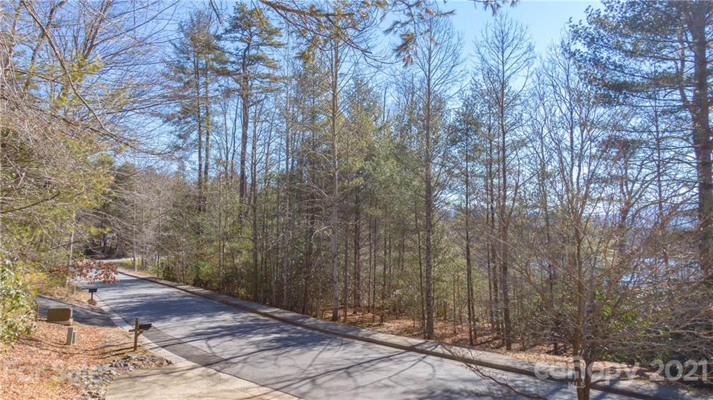 Tbd Deerlake Road, Unit 61 Brevard, NC 28712 - Photo 7 of 25 Gallery Image 7