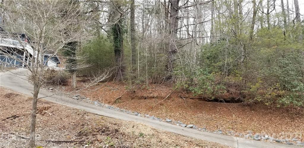 Tbd Deerlake Road, Unit 61 Brevard, NC 28712 - Photo 9 of 25 Gallery Image 9