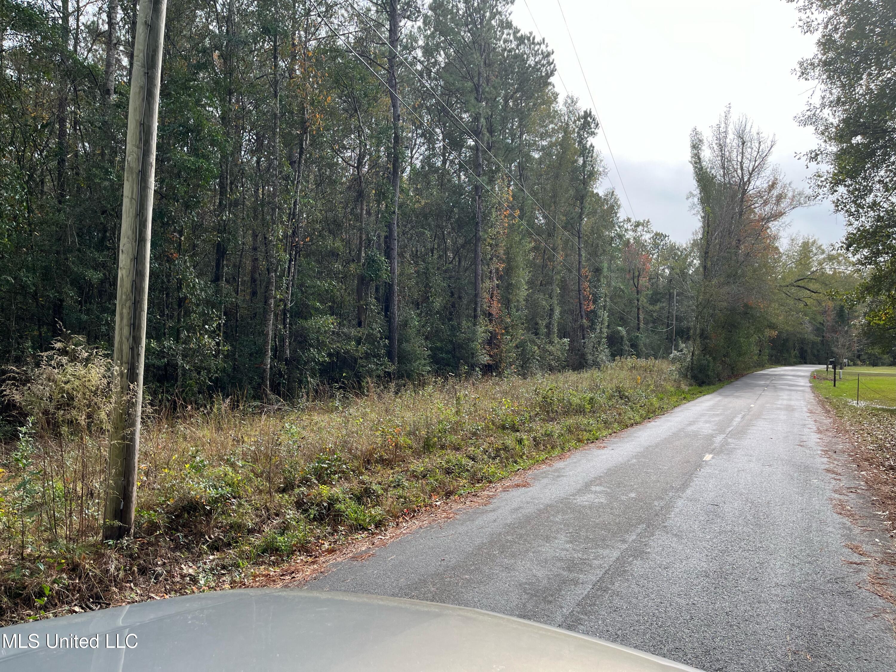 Inside Road Picayune, MS 39466 - Photo 2 of 3 image2