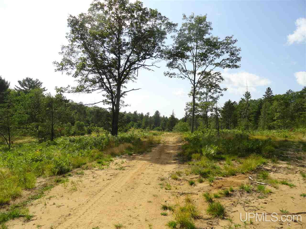 143-acres County Rd FF Republic, MI 49879 - Photo 13 of 18