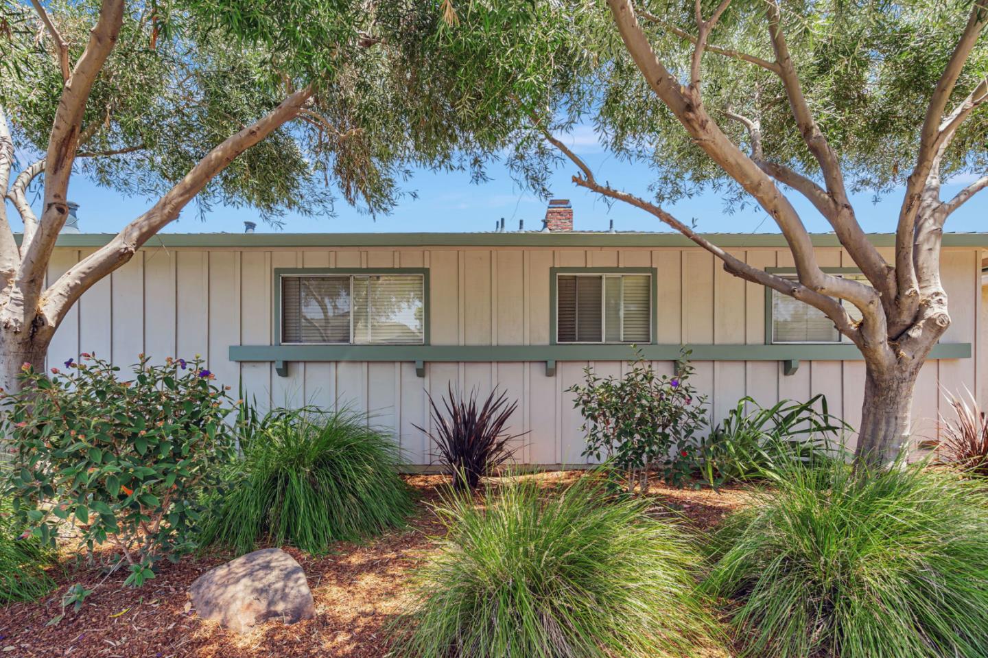 a view of a house with a tree in front of it
