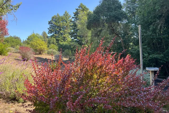 $1,525,000 | 12195 Fiori Lane, Sebastopol, CA 95472