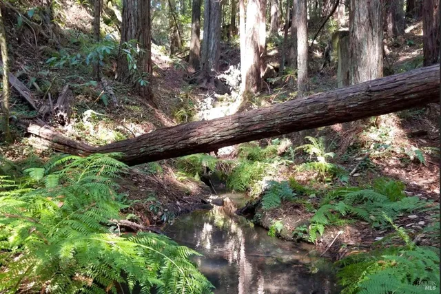 $1,525,000 | 12195 Fiori Lane, Sebastopol, CA 95472