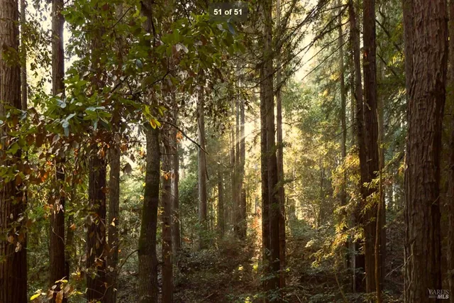 $1,525,000 | 12195 Fiori Lane, Sebastopol, CA 95472