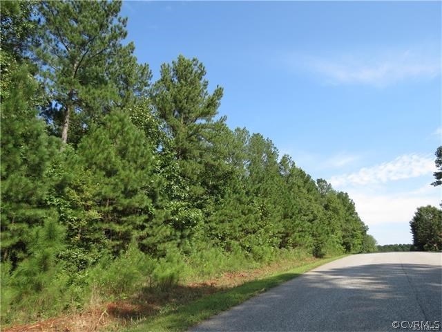 2526 Miry Run Road Sutherland, VA 23885 - Photo 2 of 3 Gallery Image 2