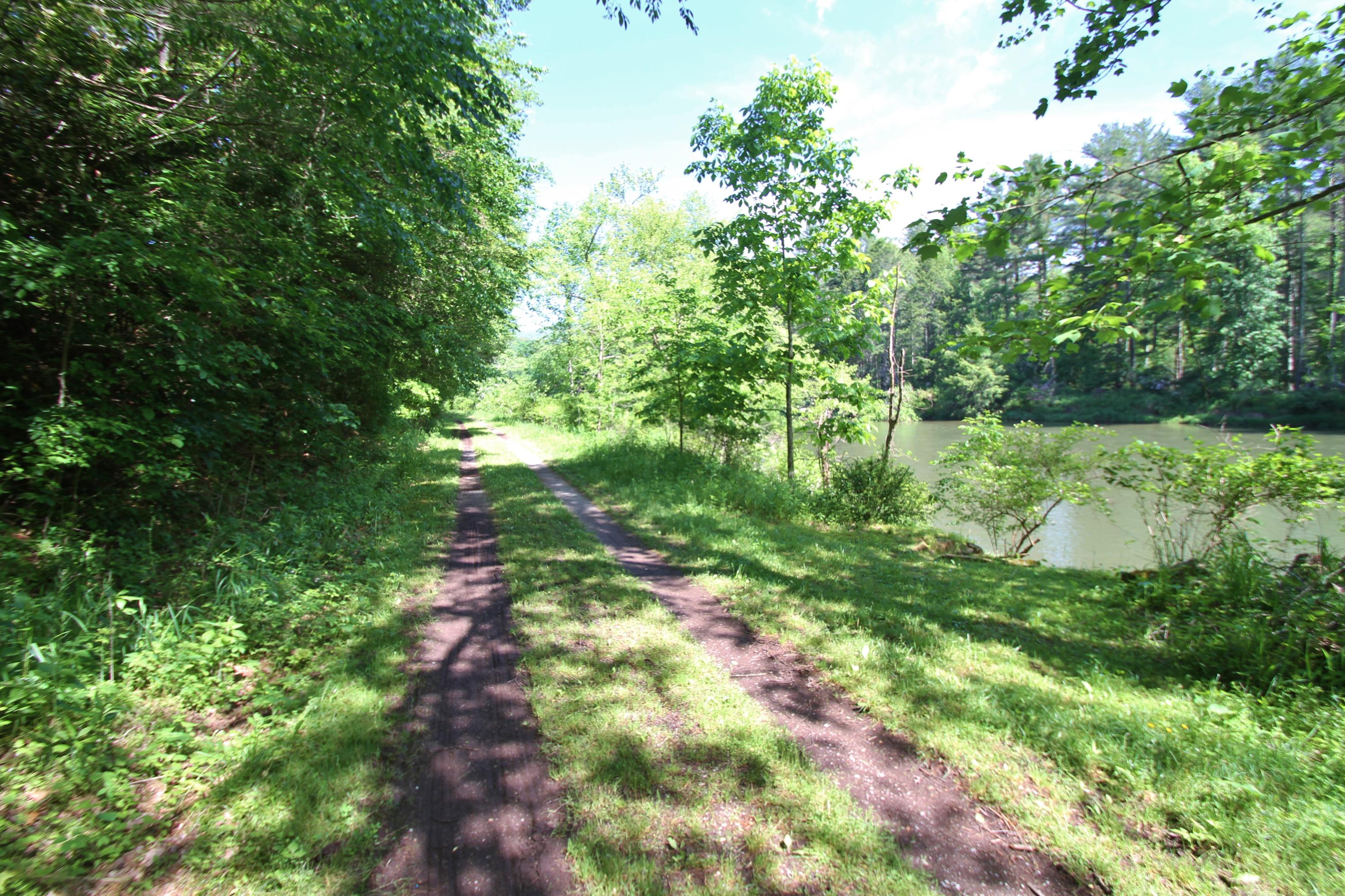 14626 Edray Road Cass, WV 24927 - Photo 79 of 84 Gallery Image 79