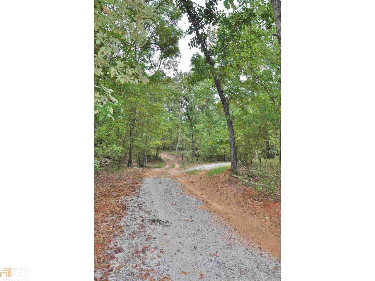 0 Nebula Road Warm Springs, GA 31830 - Photo 1 of 1 Gallery Image 1