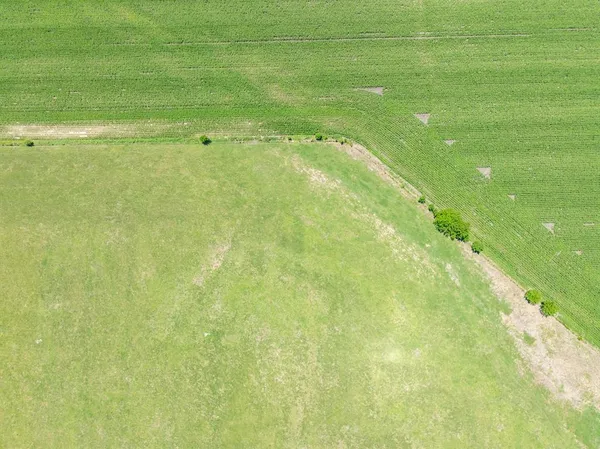 a view of a field with an ocean