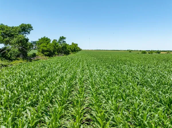 a view of yard with seating space