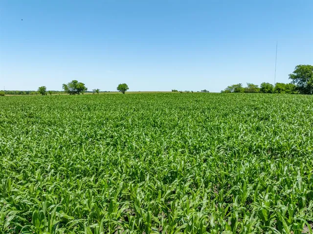 a view of an ocean and beach