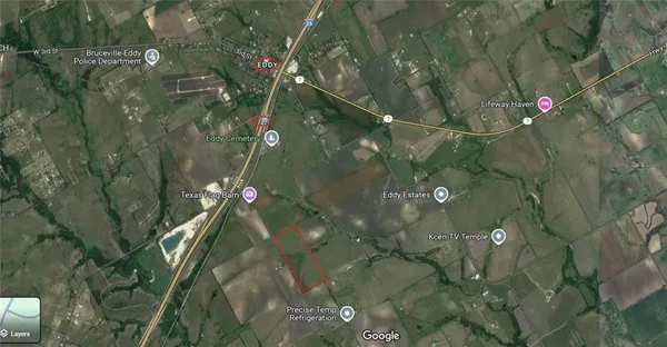 a close up of a flower in a pot