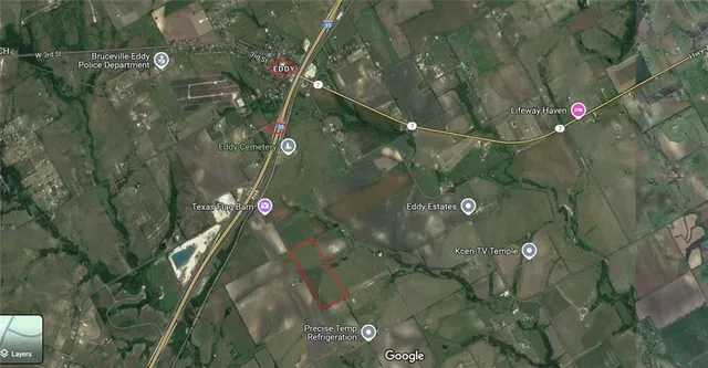 a close up of a flower in a pot