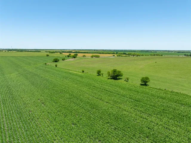 a view of yard with an outdoor space