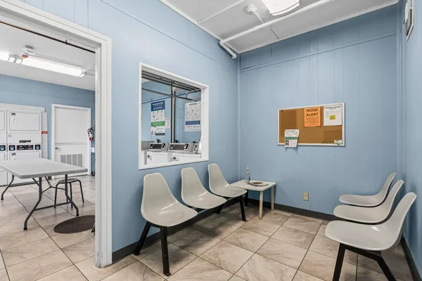 a living room with furniture a two lamp and a potted plant