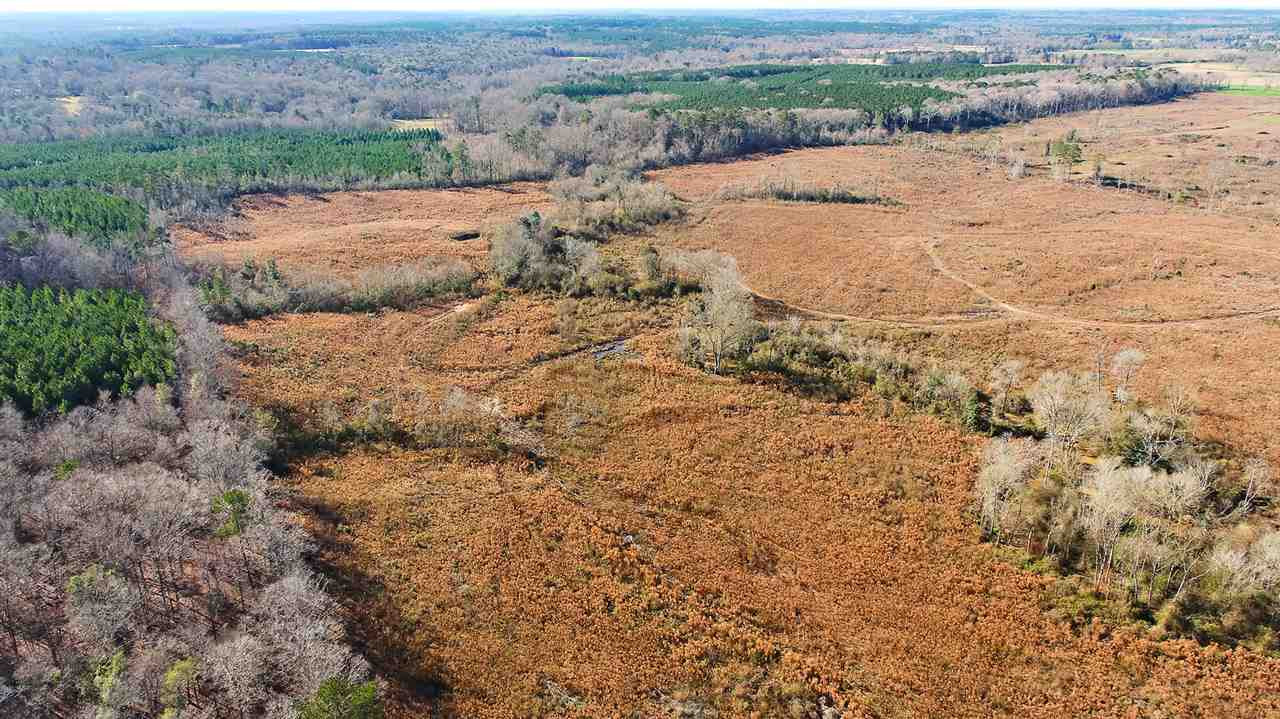 0 Shivers Road Newhebron, MS 39140 - Photo 11 of 15 Photo 11