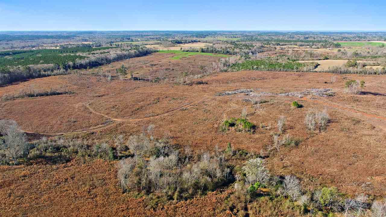 0 Shivers Road Newhebron, MS 39140 - Photo 12 of 15 Photo 12