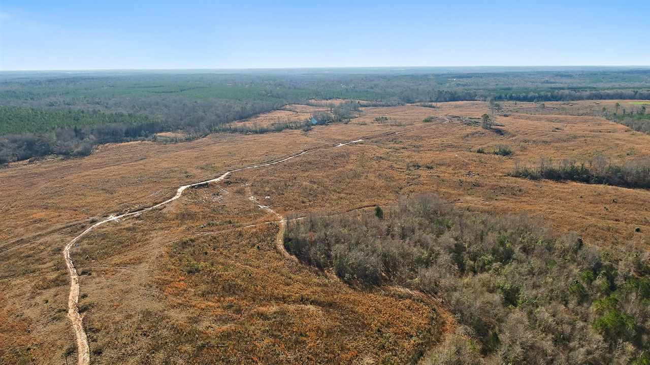 0 Shivers Road Newhebron, MS 39140 - Photo 4 of 15 Photo 4