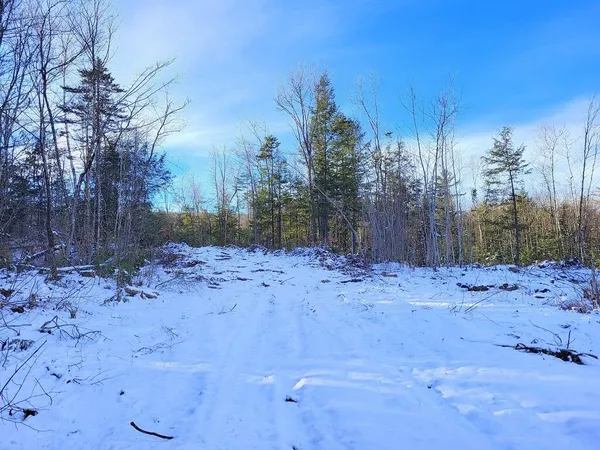 $70,000 | Lot 62.2 Reed's Mill Road, Madrid Township, ME 04966