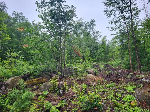 $70,000 | Lot 62.2 Reed's Mill Road, Madrid Township, ME 04966