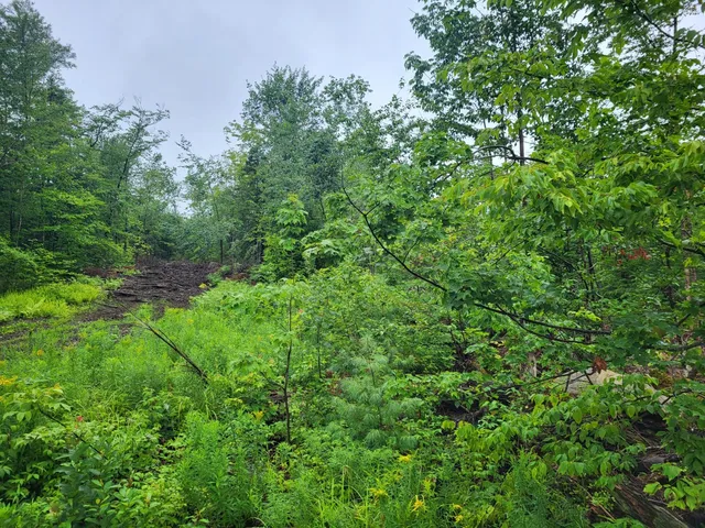 $70,000 | Lot 62.2 Reed's Mill Road, Madrid Township, ME 04966