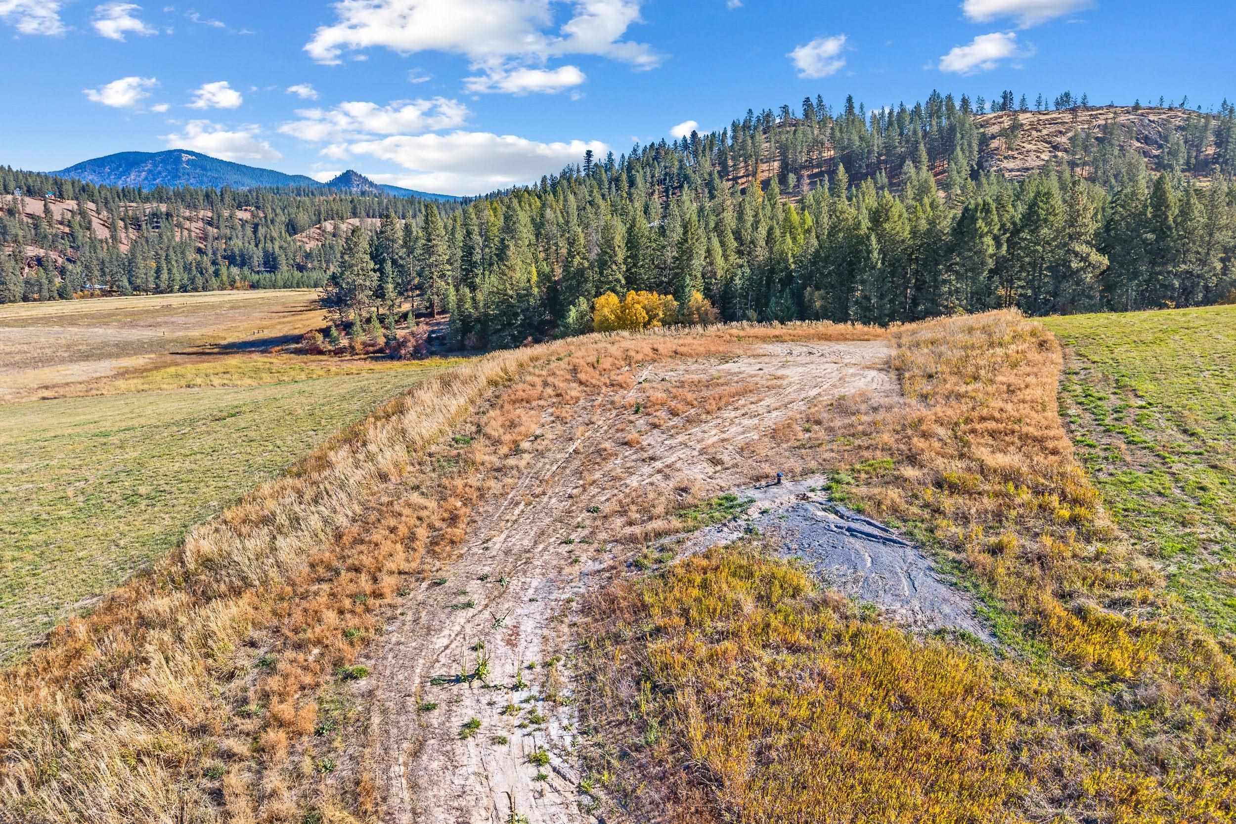 0 Skok Road, Unit LOT 2 Loon Lake, WA 99148 - Photo 8 of 28 Gallery Image 8