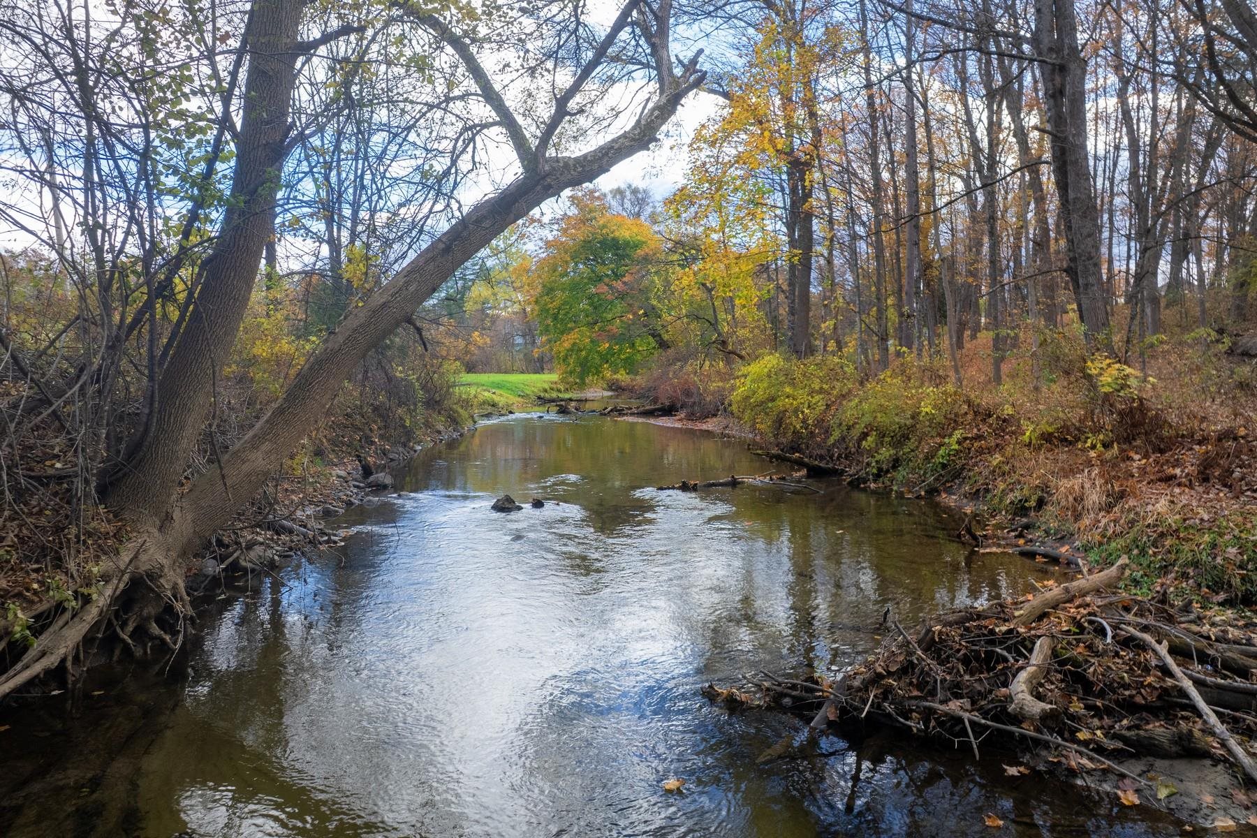 19 River Street Brandon, VT 05733 - Photo 6 of 41