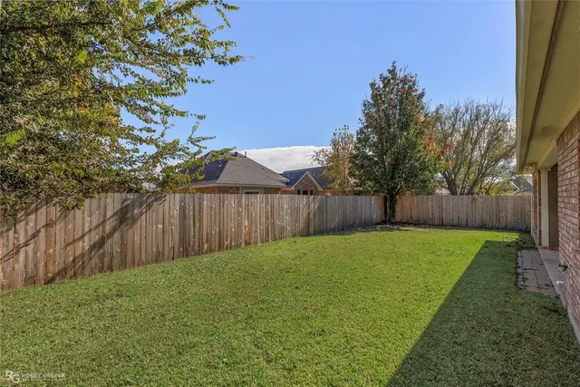 a view of a backyard with a tree