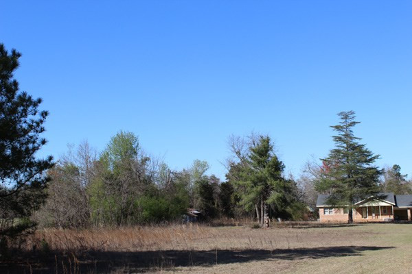 596 Knight Road Waynesboro, GA 30830 - Photo 6 of 12 Gallery Image 6